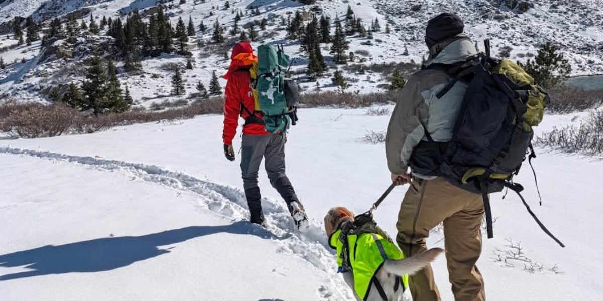 Kswo 2 college students found dead after going missing during Colorado hike