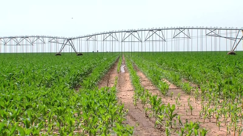 The 2018 Farm Bill is nearing its Sept. 30 deadline with agricultural programs affected, as...