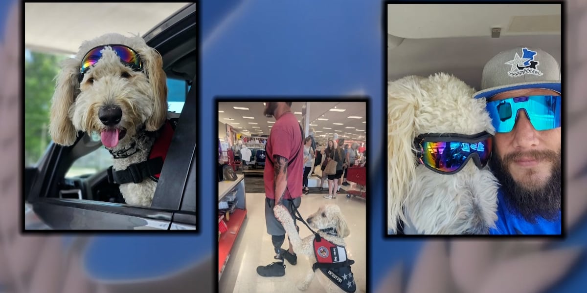 Kswo How this veteran is using a service dog to regain independence