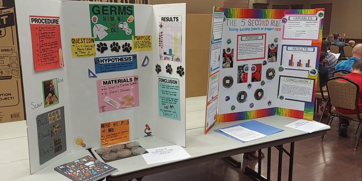 Science Expository Elementary students win awards for science projects in science ...