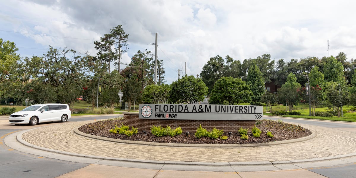 Kswo Tallahassee shooting near Florida A&M stadium injures 12, including six ...
