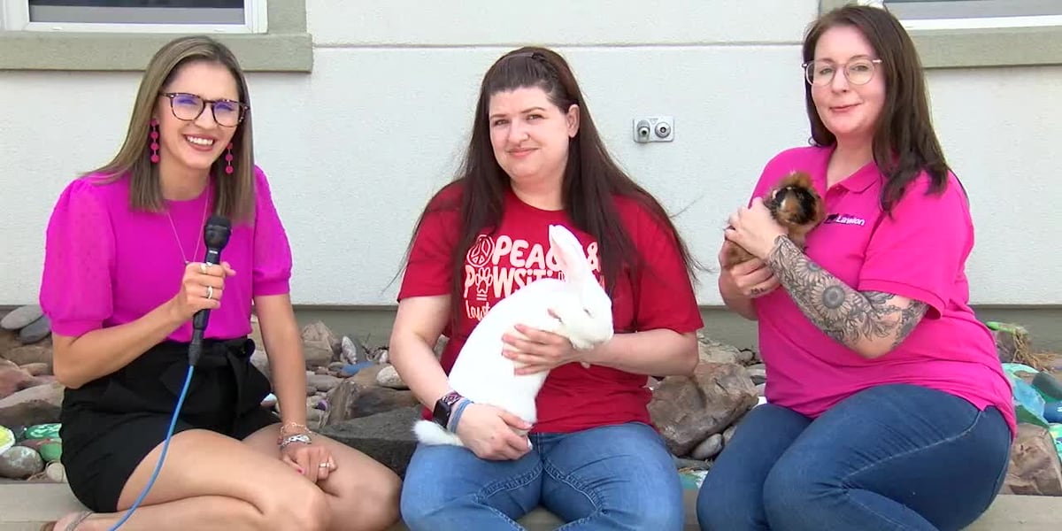 Furry Friend Friday: 5-month-old Flemish Giant mix rabbit and an ...